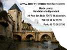 votre agent immobilier Agence MORET IMMOLIAISON Saint-mamms