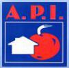 votre agent immobilier API   ARIEGE PYRENEES IMMOBILIER (VARILHES 09)