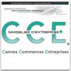 votre agent immobilier C C E - CANNES COMMERCES ENTREPRISES (CANNES 06400)