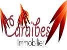 votre agent immobilier CARAIBES IMMOBILIER Saint-francois