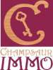 votre agent immobilier CHAMPSAUR IMMO (ORCIERES 05)