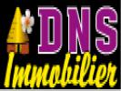 votre agent immobilier DNS IMMOBILIER (NOUMEA 98)