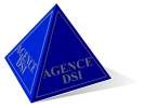 votre agent immobilier DSI (lyon 69002)