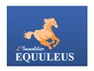 votre agent immobilier EQUULEUS JOUE LES TOURS (JOUE-LES-TOURS 37)