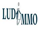 votre agent immobilier LUDI IMMO (TOULOUSE SAINT SIMON 31100)