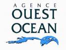 votre agent immobilier ouest ocean (JARD-SUR-MER 85)