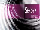 votre agent immobilier SEKOYA IMMOBILIER (Ferney Voltaire 01)