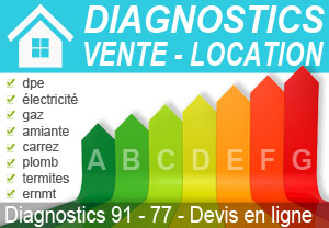 diagnostic immobilier 77 Seine et marne