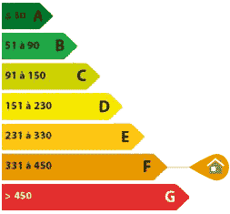 diagnostic DPE f