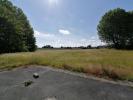 Vente Terrain Lallaing 59167