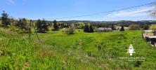 Vente Terrain Chambon-sur-lignon 43400 1950 m2