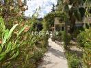 Vente Appartement Golfe-juan 06220 3 pieces 90 m2