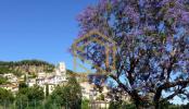 Vente Appartement Roquebrune-cap-martin VILLAGE 06190 4 pieces 110 m2