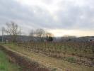 Vente Terrain Limoux  11300 2500 m2