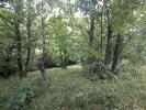 Vente Terrain Saint-hippolyte-du-fort 30170