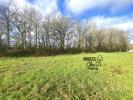 Vente Terrain Beaulieu-sous-la-roche  85190