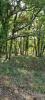 Vente Terrain Chartrier-ferriere 19600