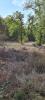 Vente Terrain Chartrier-ferriere 19600