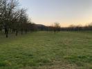 Vente Terrain Tullins 38210 542 m2
