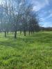 Vente Terrain Tullins 38210 544 m2