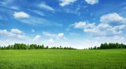 Vente Terrain Saint-martin-du-tertre 95270 335 m2