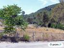 Vente Terrain Contes 06390 10000 m2