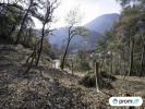 Vente Terrain Gorbio  06500 2048 m2