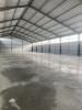 Location Commerce Lisle-sur-tarn 81310 768 m2