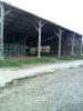 Location Commerce Auvers-le-hamon 72300 128 m2