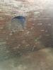 Location Commerce Amiens 80000 9 m2