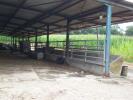 Location Commerce Argelos 40700 1300 m2