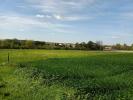 Vente Terrain Saint-ciers-du-taillon 17240