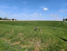 Vente Terrain Saint-ciers-du-taillon 17240
