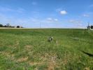 Vente Terrain Saint-ciers-du-taillon  17240