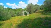 Vente Terrain Opio 06650 4500 m2