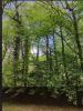 Vente Terrain Lamorlaye 60260 3346 m2