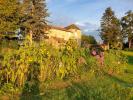 Vente Maison Saint-pierre-la-noaille 42190