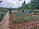 Vente Terrain Wassy 52130 520 m2