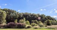 Vente Terrain Roncherolles-en-bray 76440 4520 m2