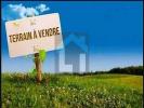 Vente Terrain Sainte-pience 50870