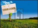 Vente Terrain Sainte-pience  50870