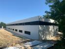 Location Commerce Montussan 33450 169 m2