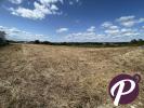 Vente Terrain Flaugeac  24240 1800 m2