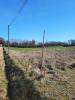 Vente Terrain Saint-jean-de-duras  47120 1500 m2