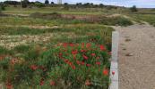 Vente Terrain Clermont-l'herault 34800
