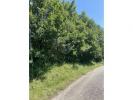 Vente Terrain Meyssac 10 MINUTES SUD DE BRIVE 19500