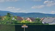 Vente Programme neuf Bennwihr 68630