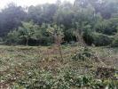 Vente Terrain Clermont 60600 299 m2