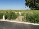 Vente Terrain Epoye 51490 653 m2