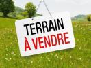 Vente Terrain Harol  88270